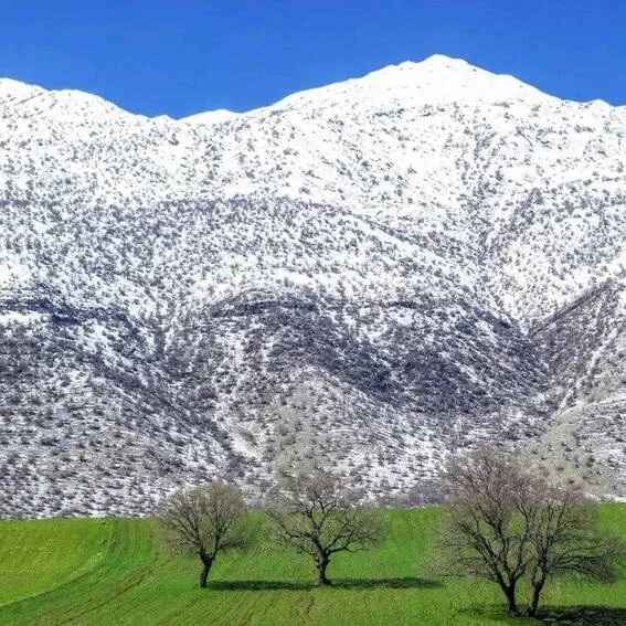 پیمایش خط الرأس سفیدکوه زاگرس