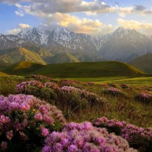 مسیر پیمایش اشترانکوه لرستان