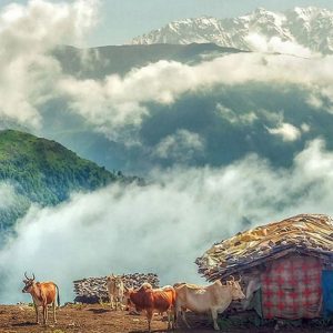 طویدره به مازیچال در بین ابرها