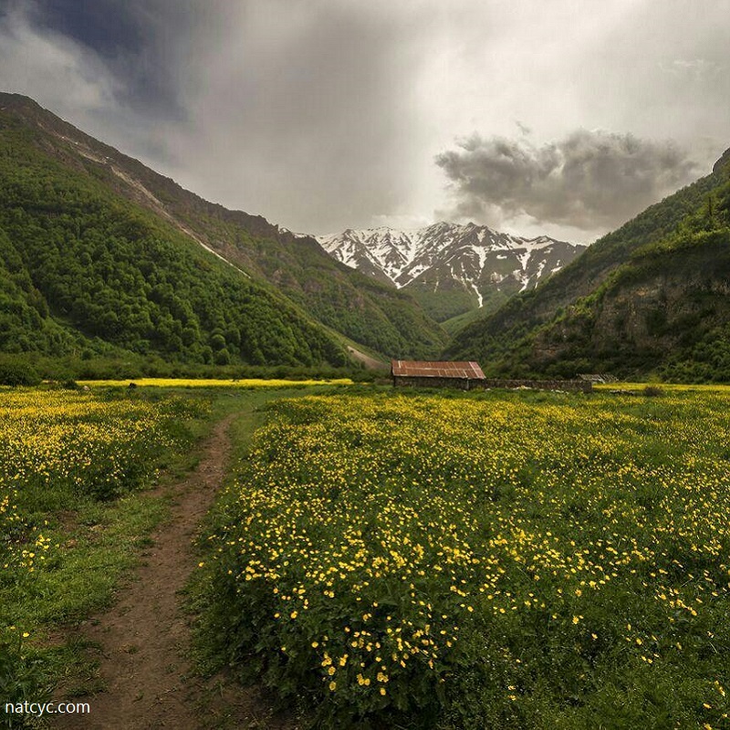 مسیر پاکوب دشت دریاسر